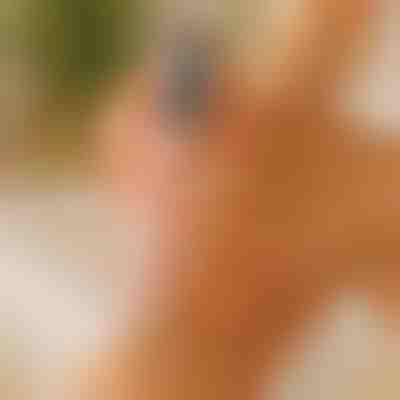 Pés suaves e macios | PEDIVIA