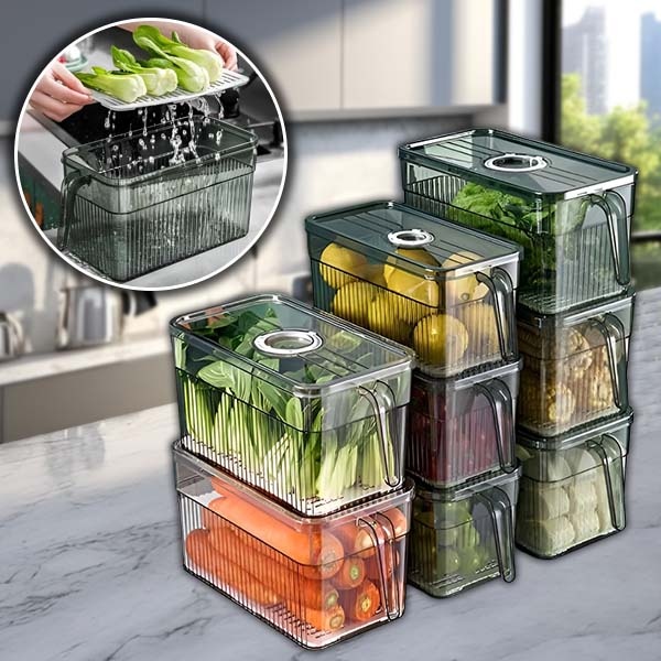 FRESHDISH-3831127549915-N-1__021026