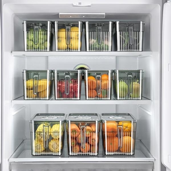FRESHDISH-3831127549915-N-4__021026