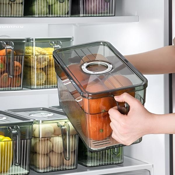 FRESHDISH-3831127549915-N-6__021026