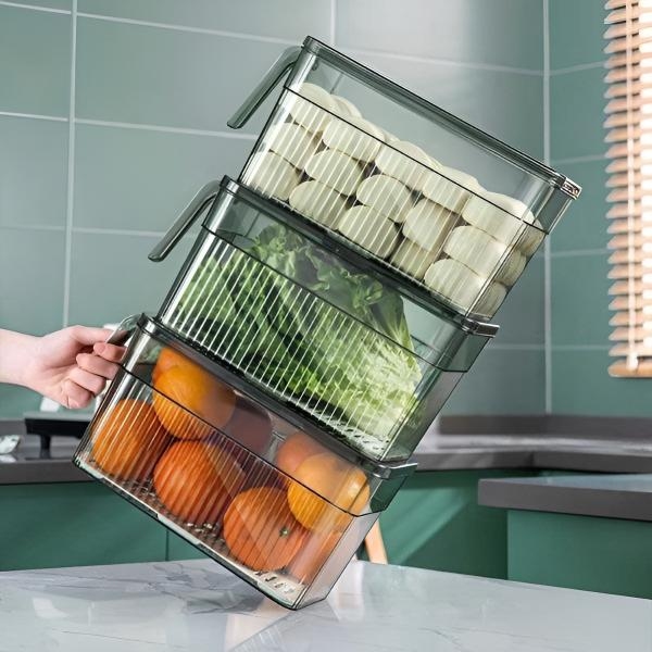 FRESHDISH-3831127549915-N-8__021026